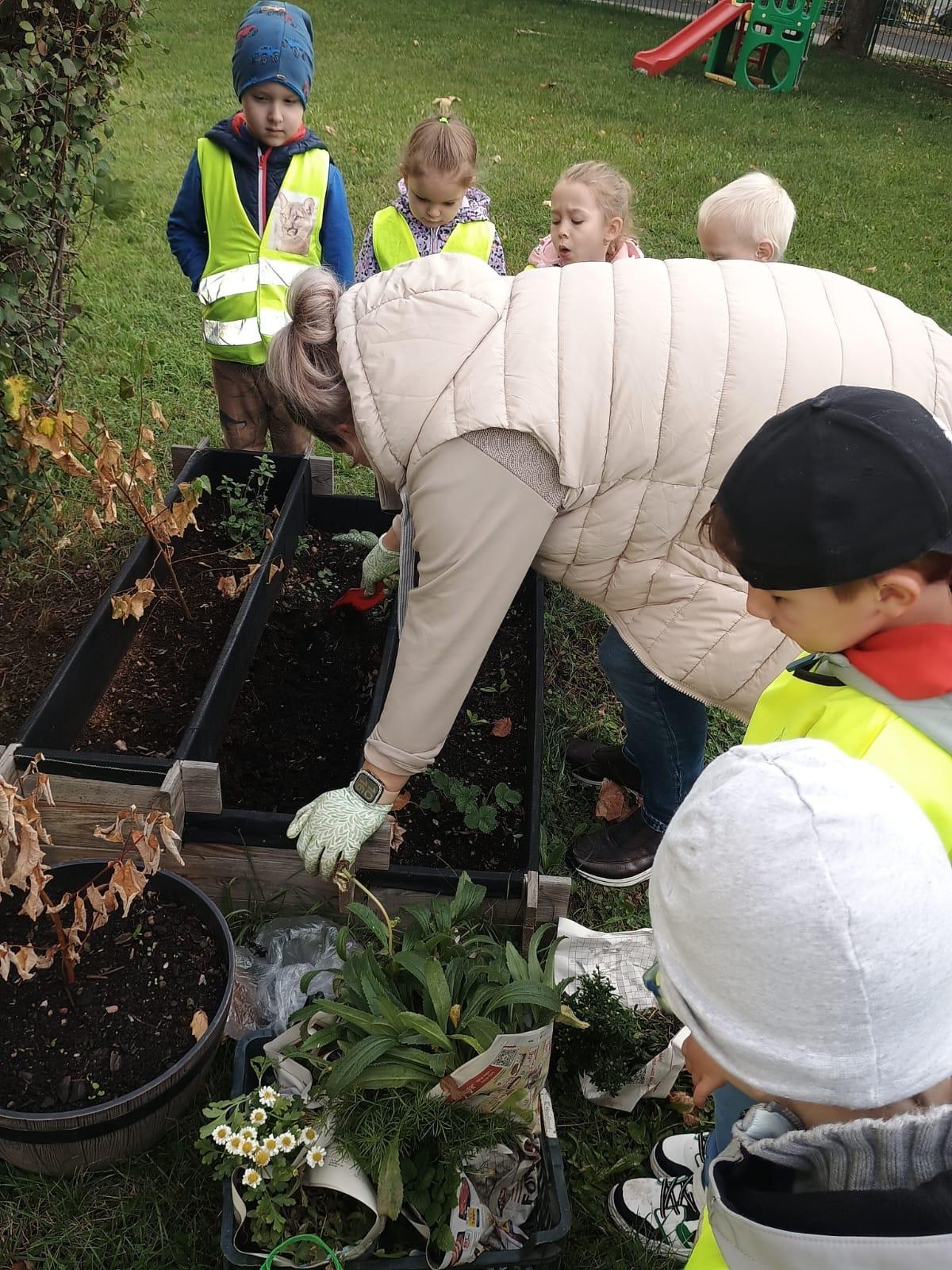 78370abd-22c6-4c8b-8d6e-882d8801acec