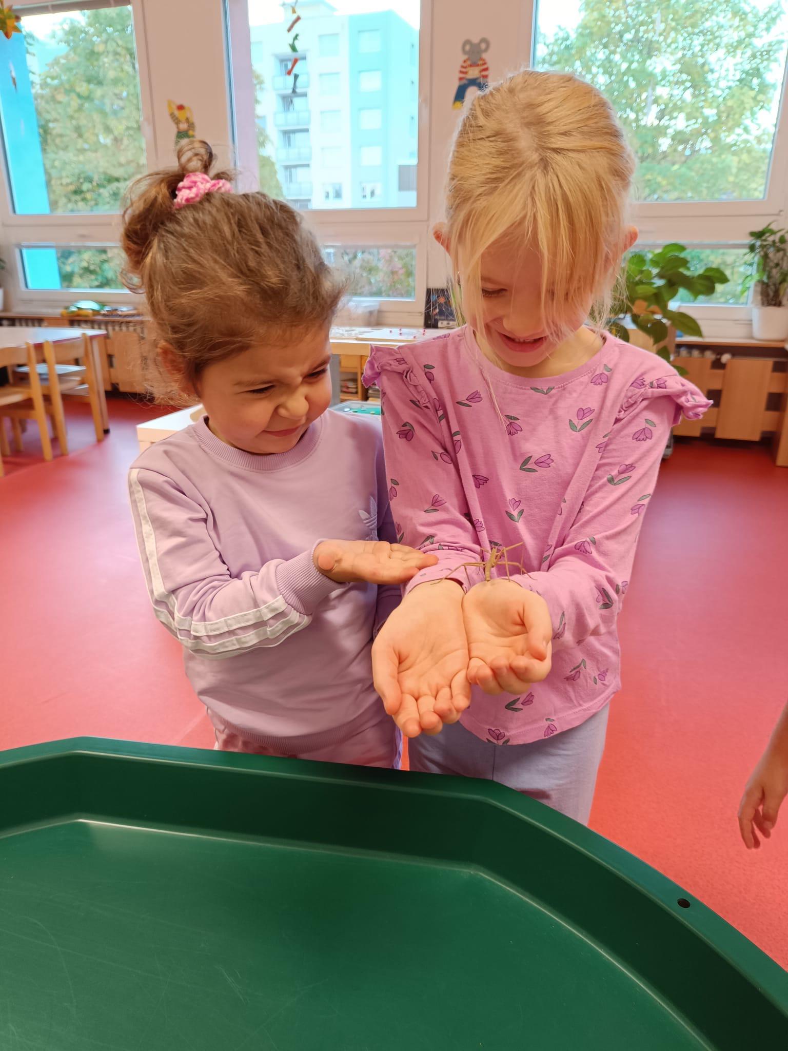 afce1b6c-96e8-4117-b45b-1a76a9f766b6