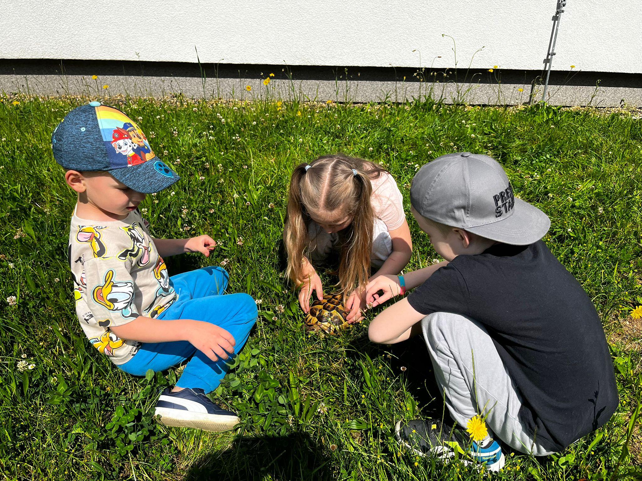 IMG-20250612-WA0035