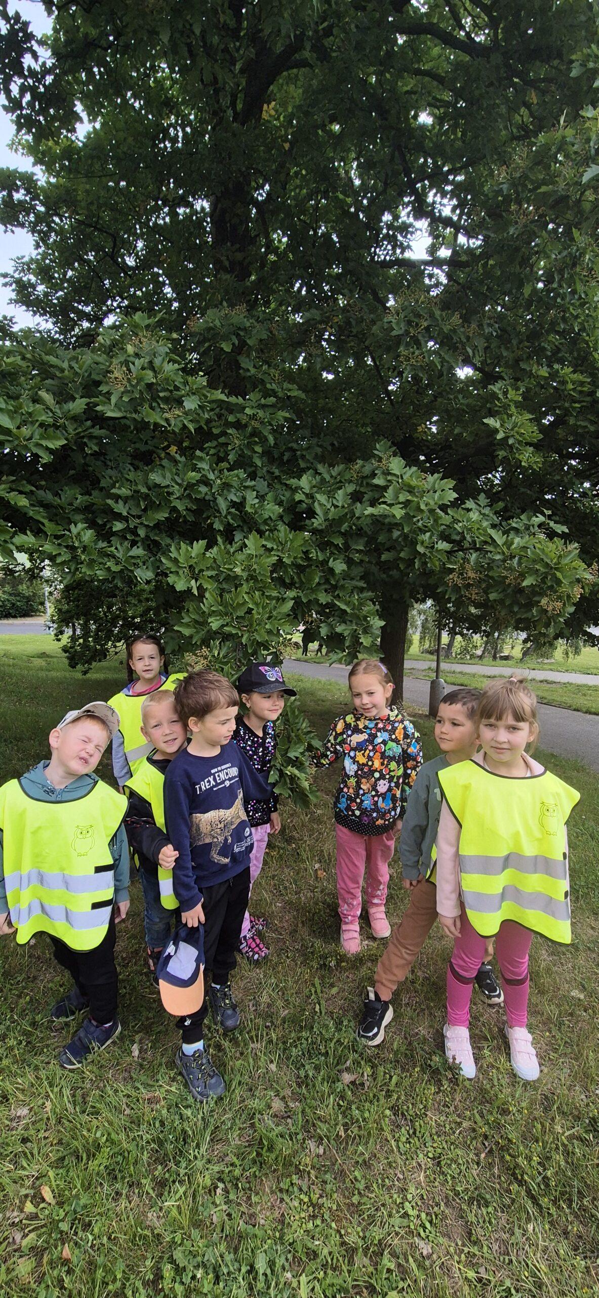 červen (42)