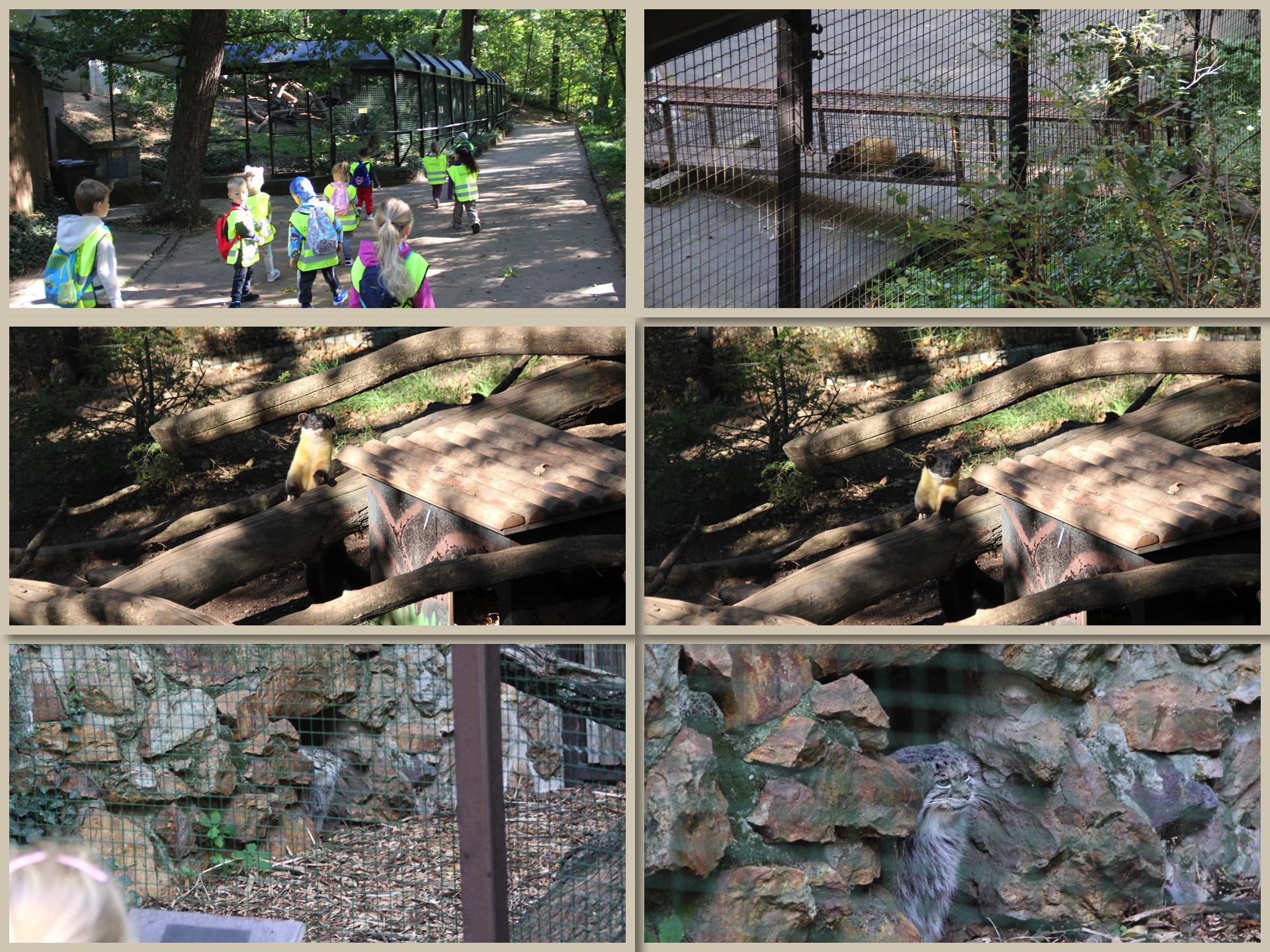 ZOO9