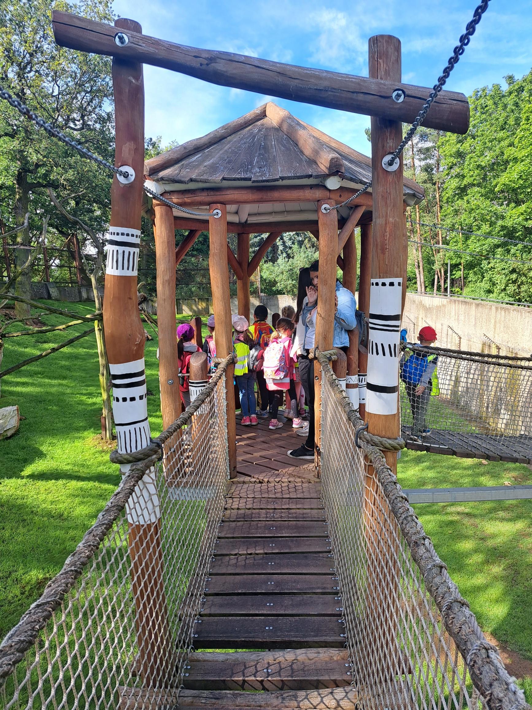 20240531_091811_resized