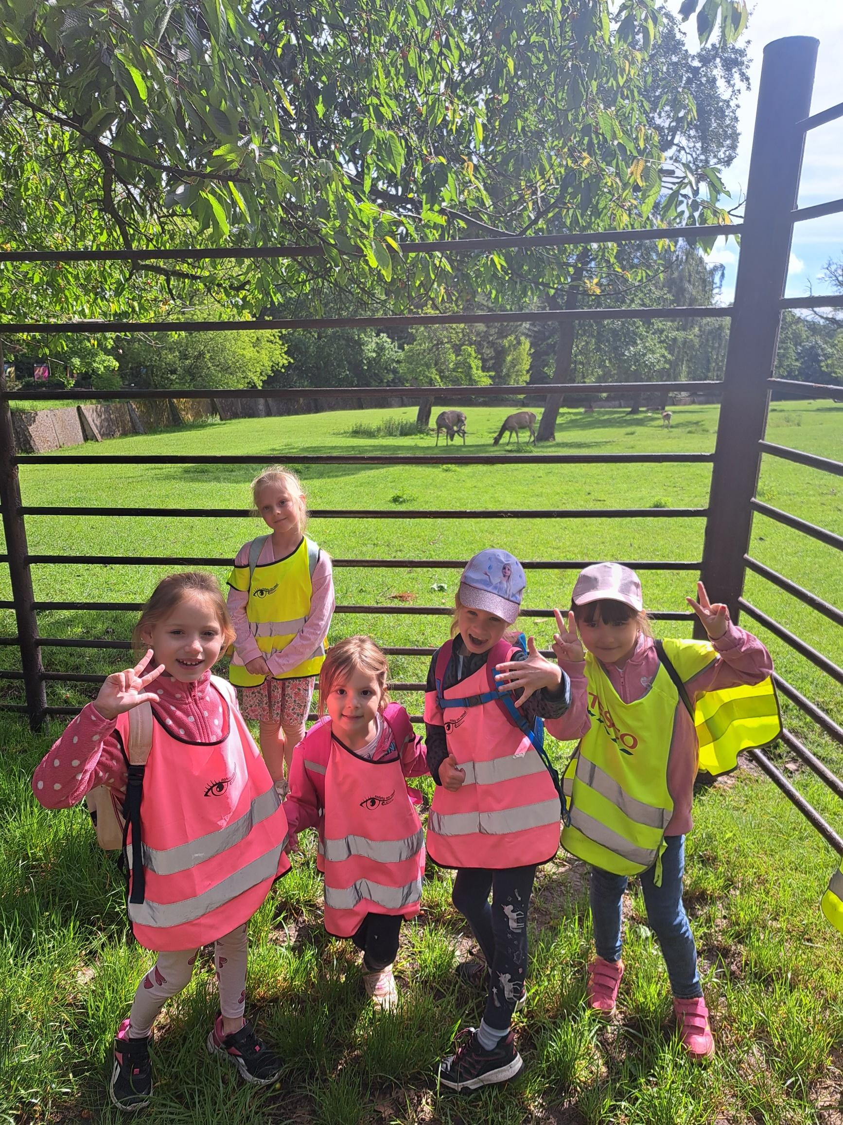 20240531_092524_resized