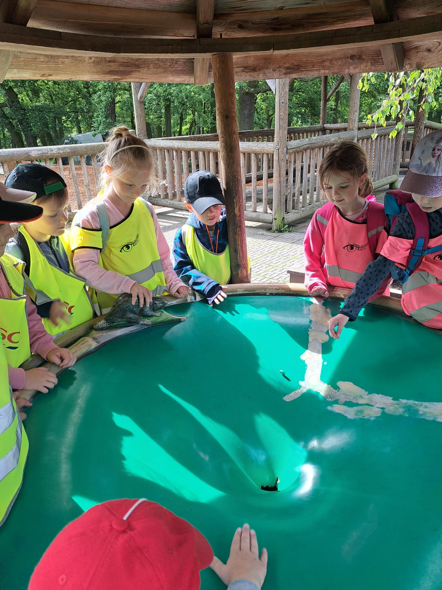 20240531_094242_resized