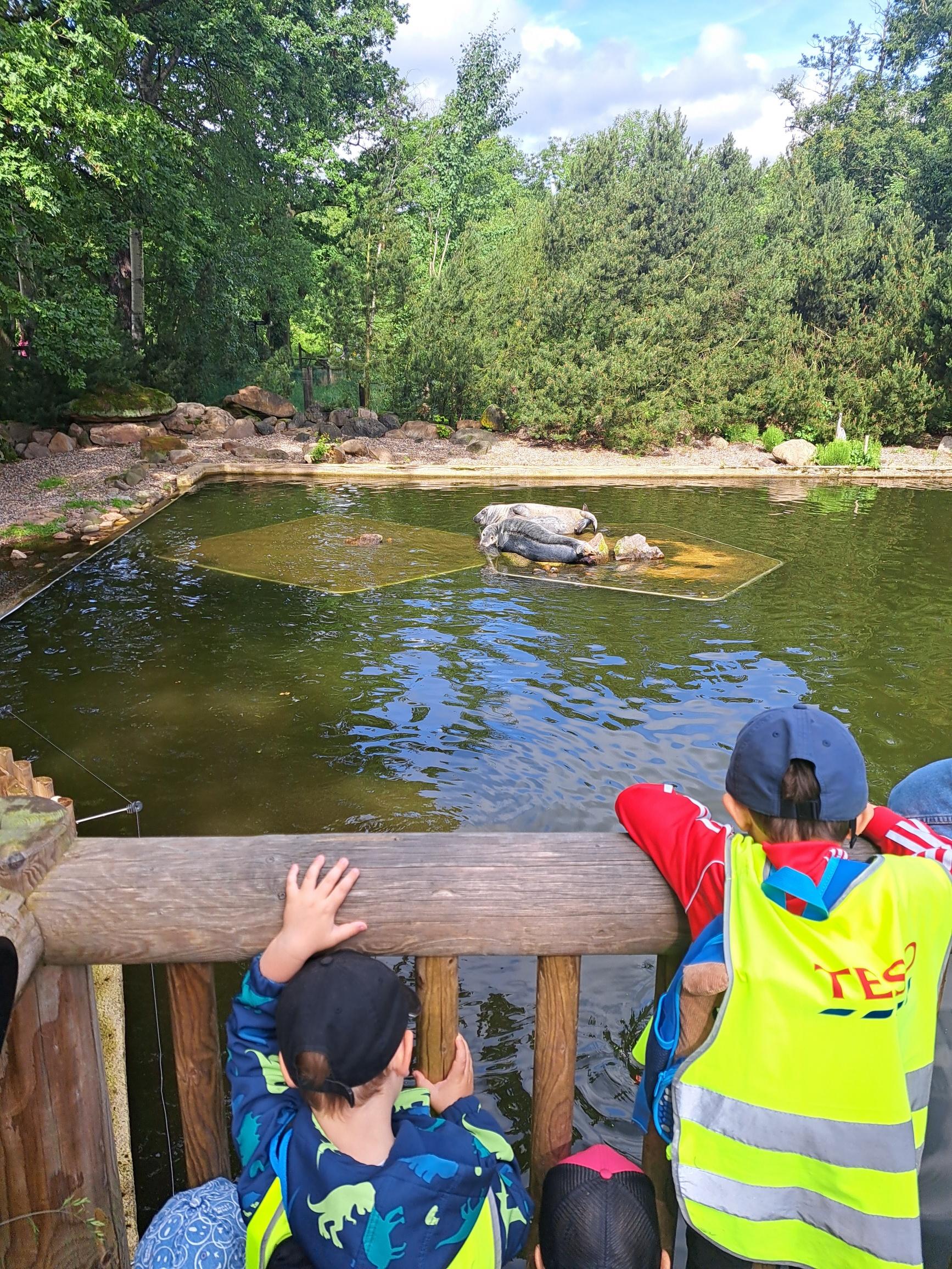 20240531_094323_resized