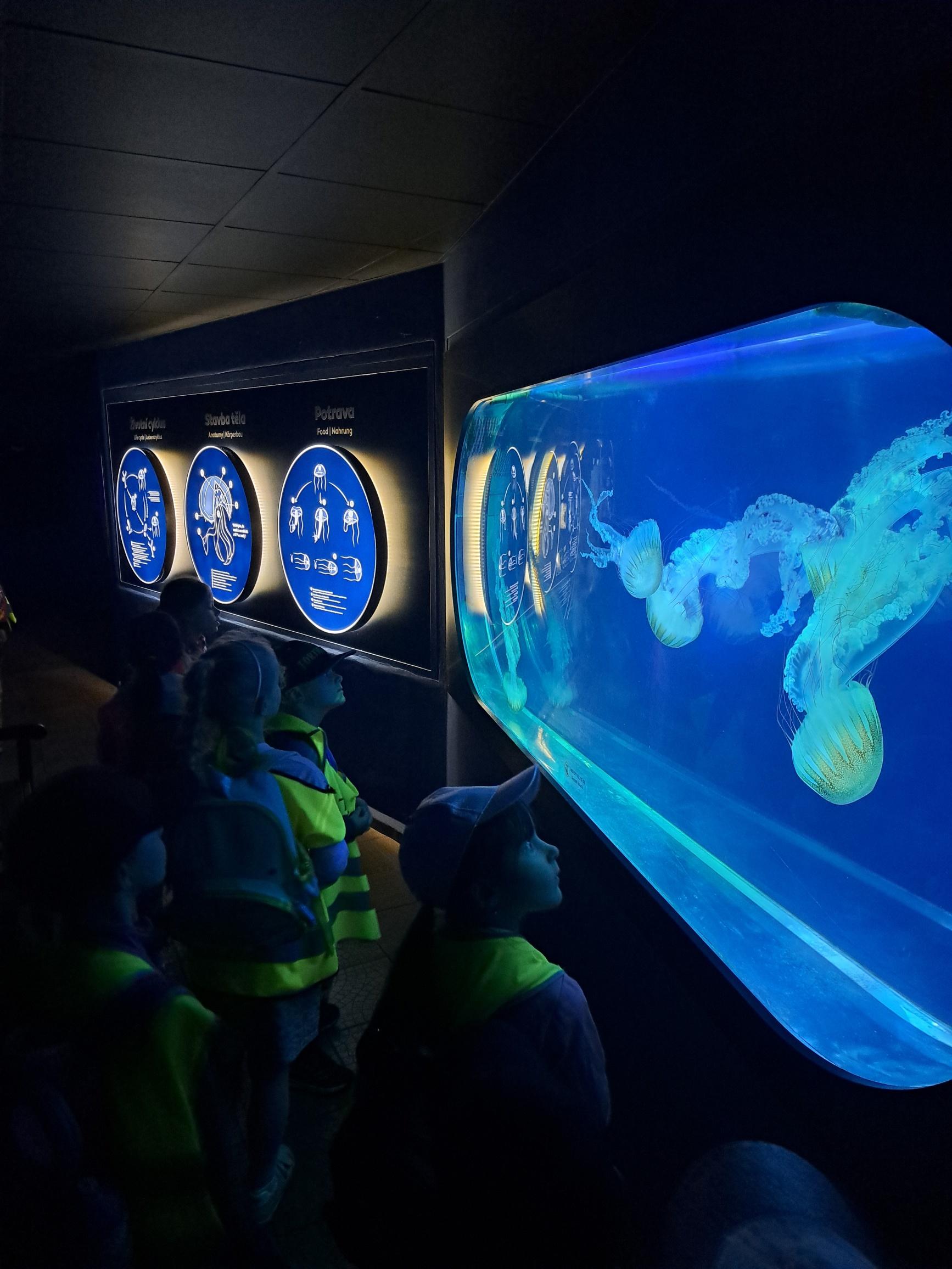 20240531_101208_resized