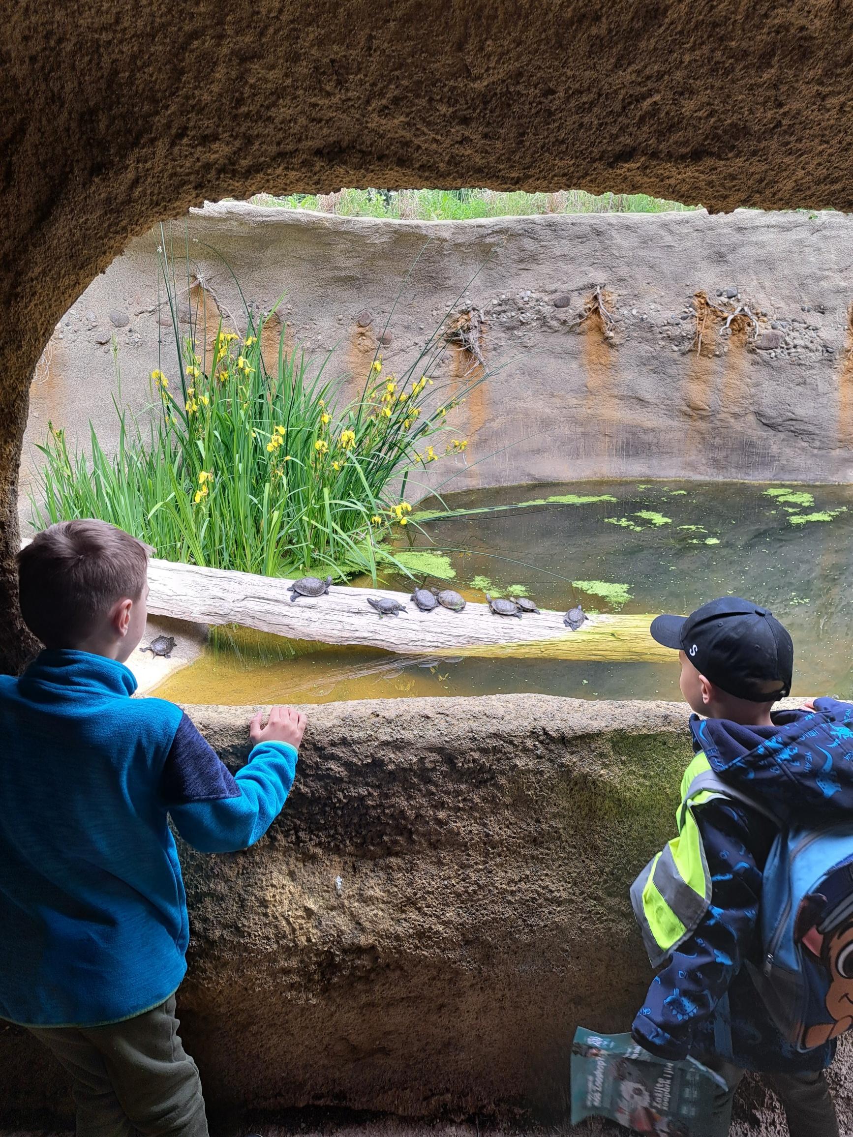 20240531_105321_resized