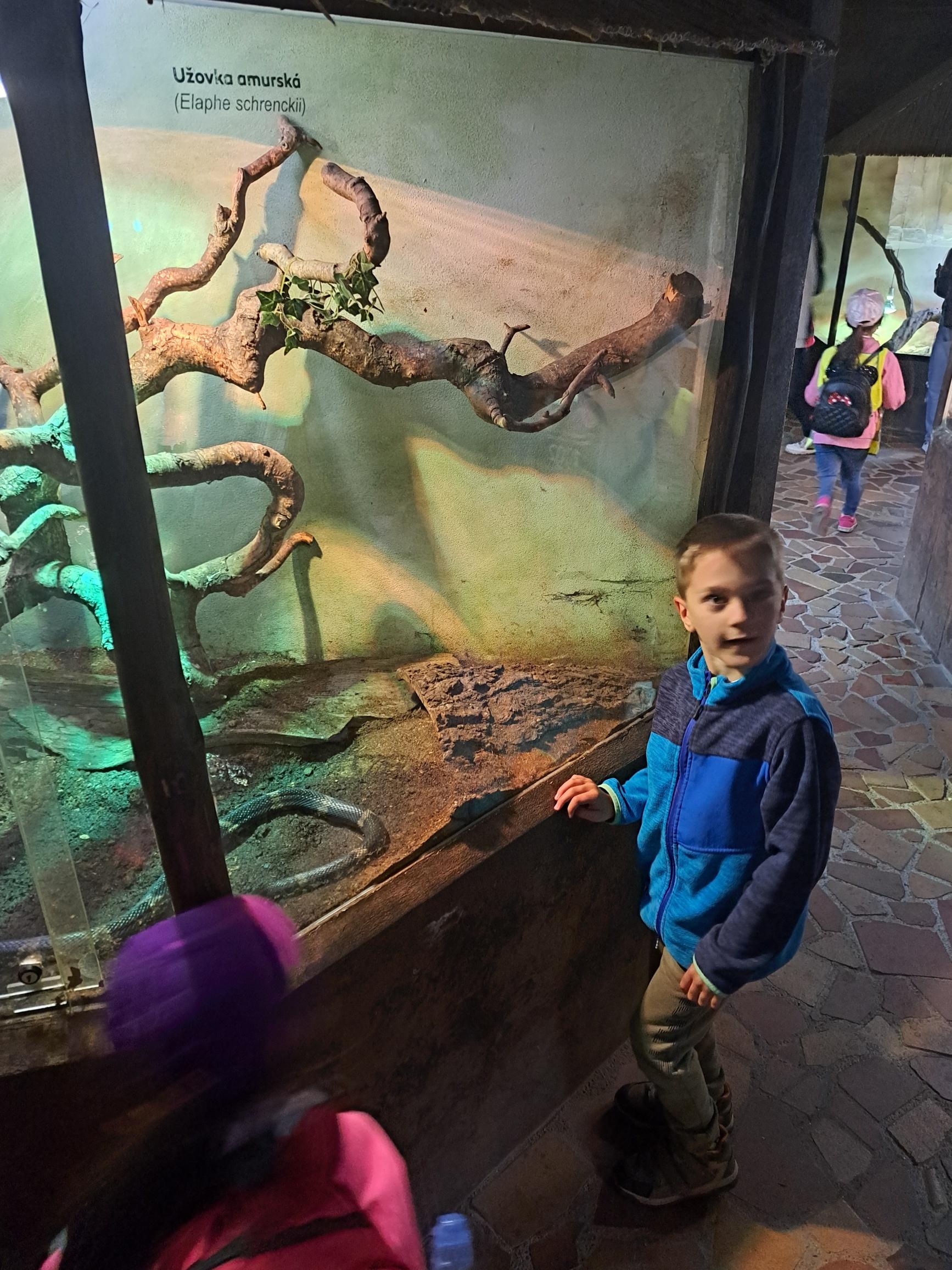 20240531_105554_resized