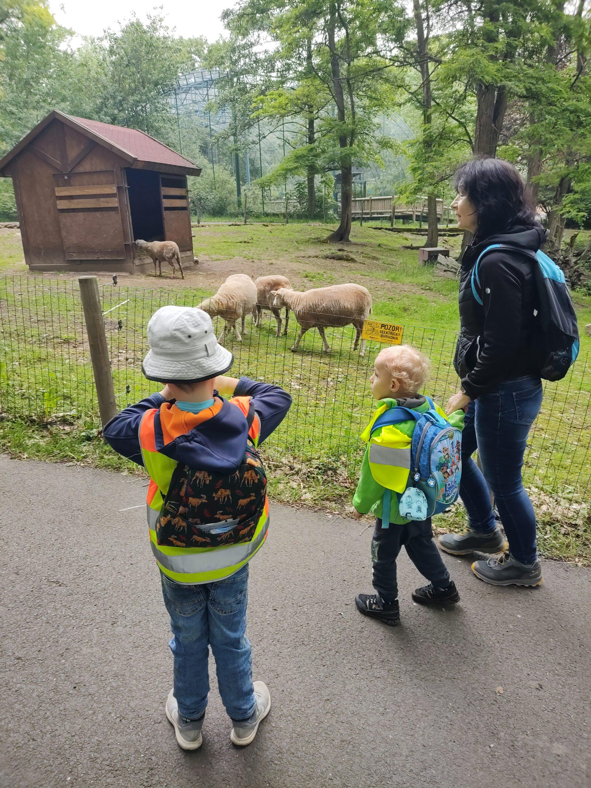 lesopark u žabiček (11)