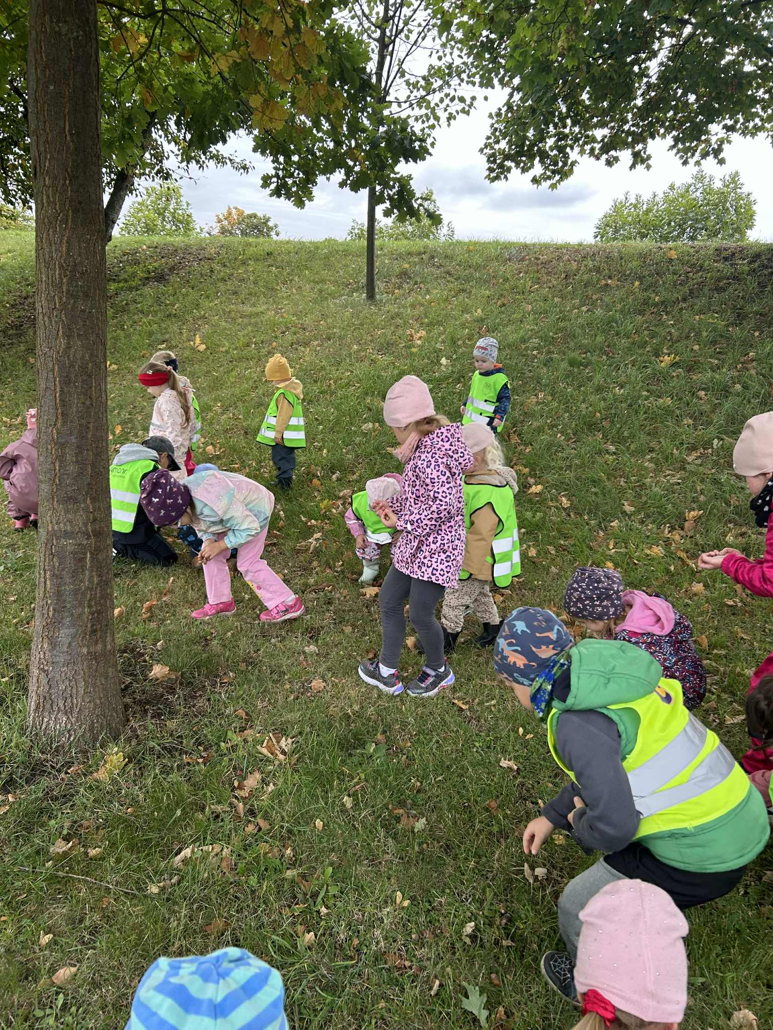 e59ea503-51e3-4da5-a0e3-cd94d90f3a12