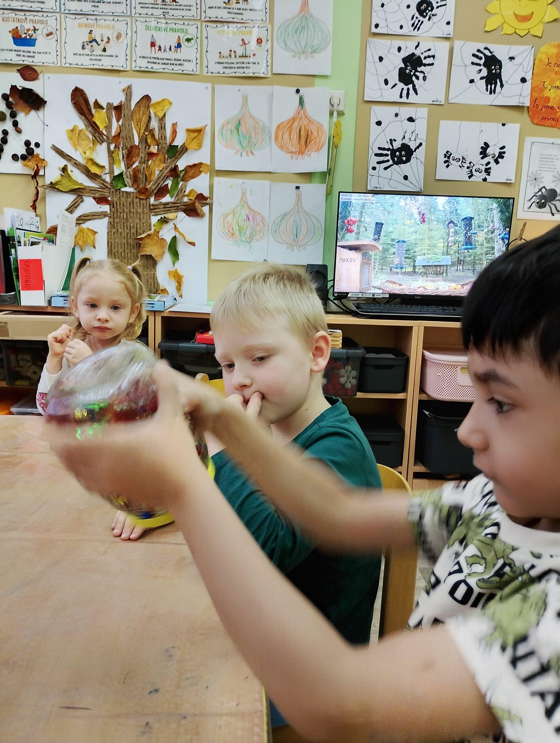 IMG_20251023_083424_hdr