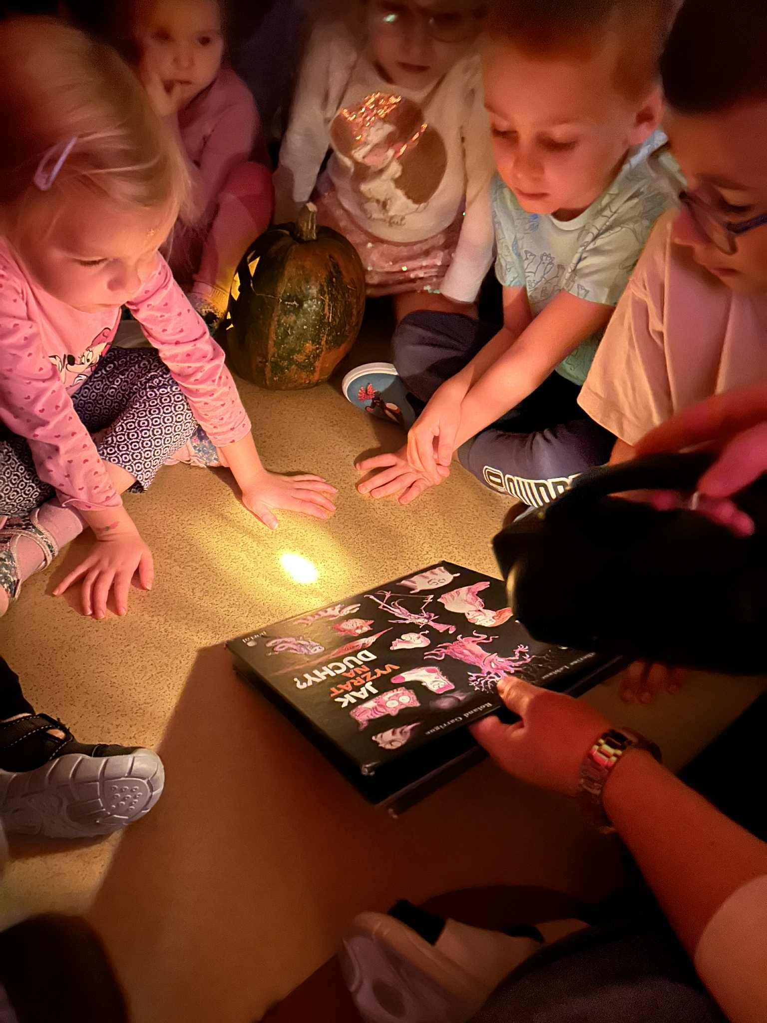 0fc13b61-4b55-4ac0-9f8d-0c5dc0789144