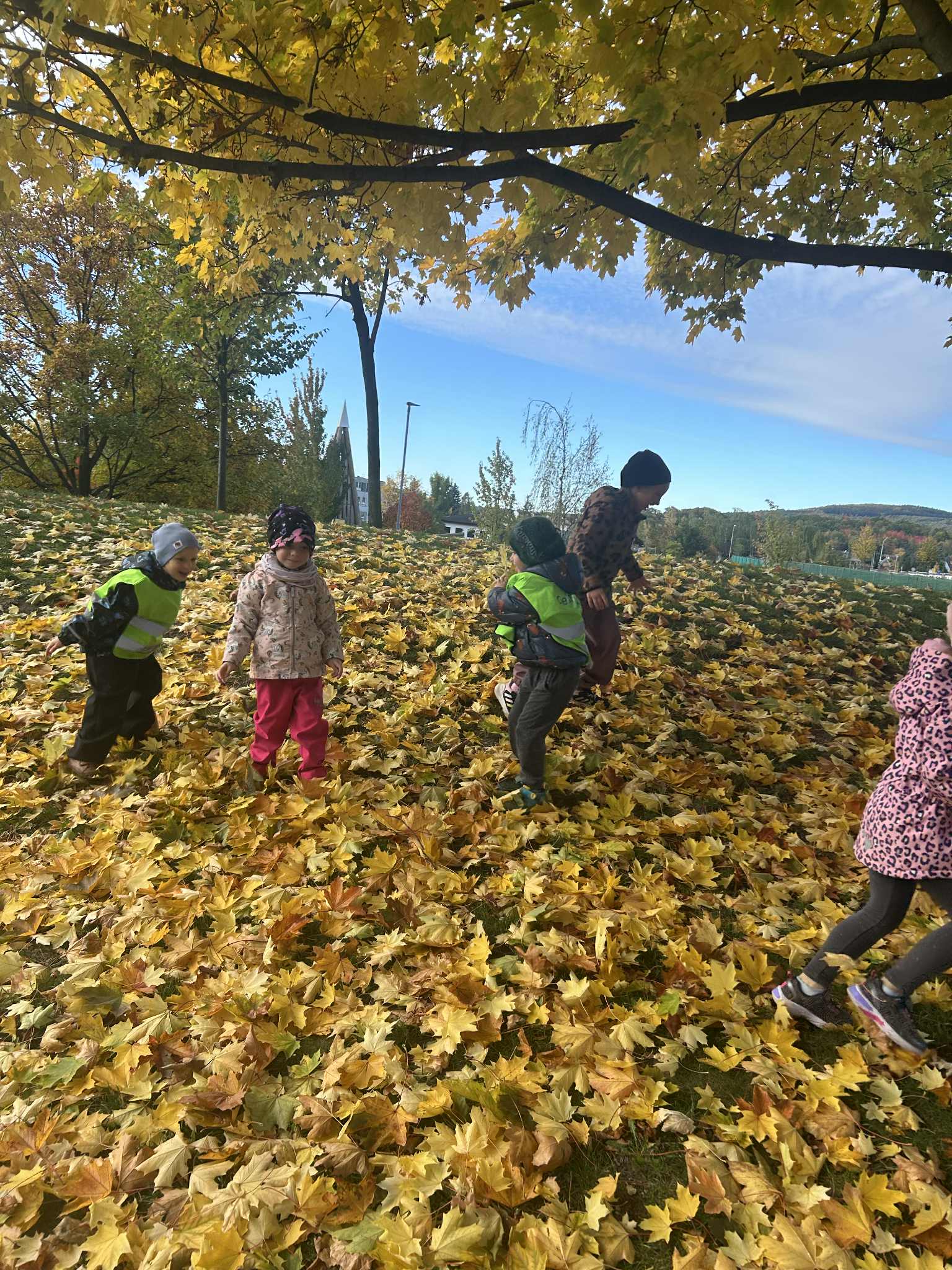 3384f737-b914-40a7-8a73-7ee5259f4a0f