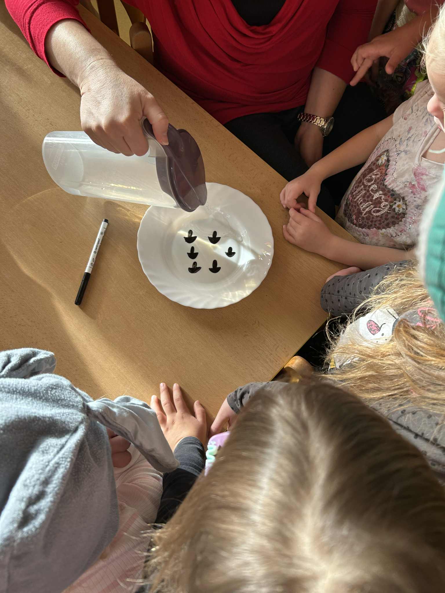 5bc38c1a-f47d-497c-bb5d-c615a6aa170b