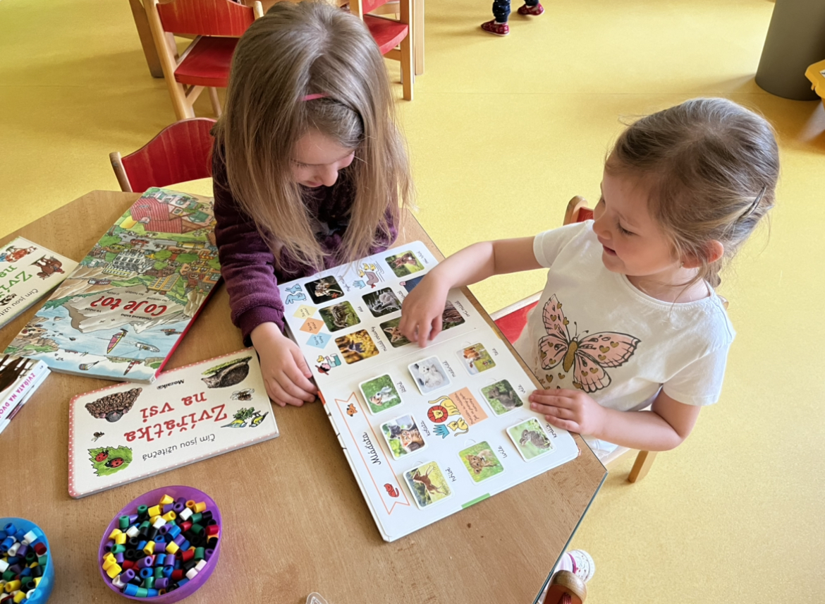 IMG-0315