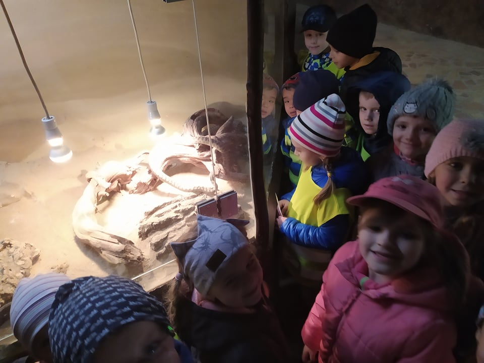 zoo (1)