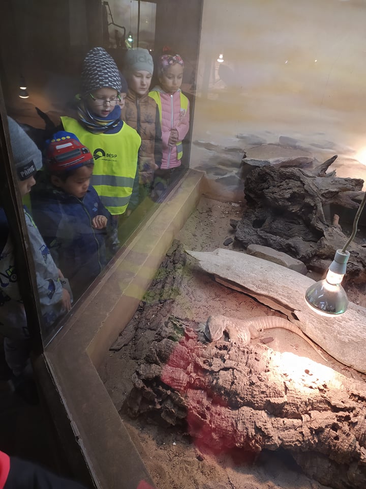 zoo (3)