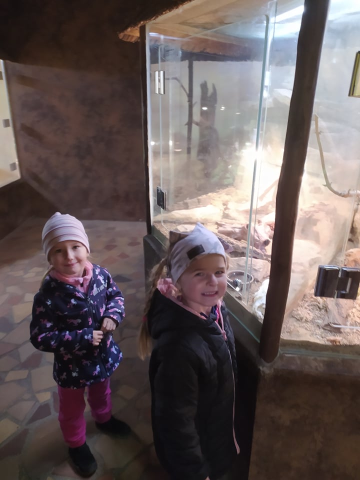 zoo (4)