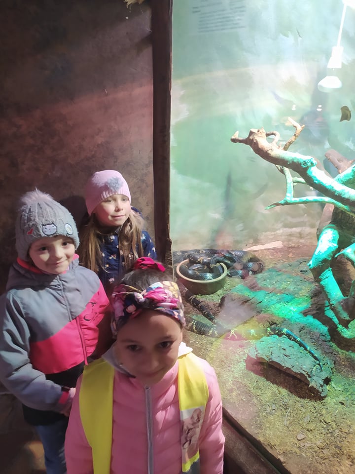 zoo (6)