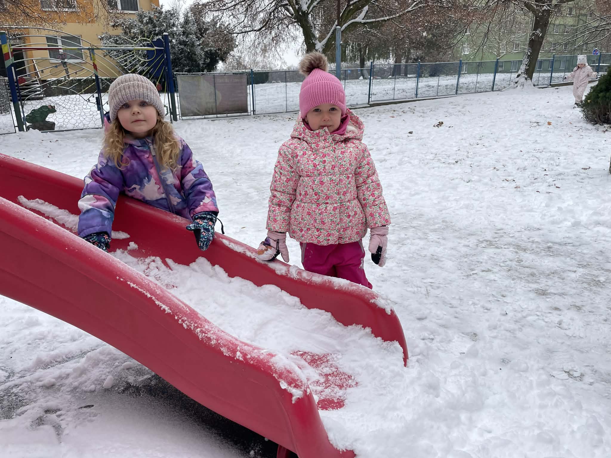 08602dd8-663f-47d4-8782-703a0d62a2ca