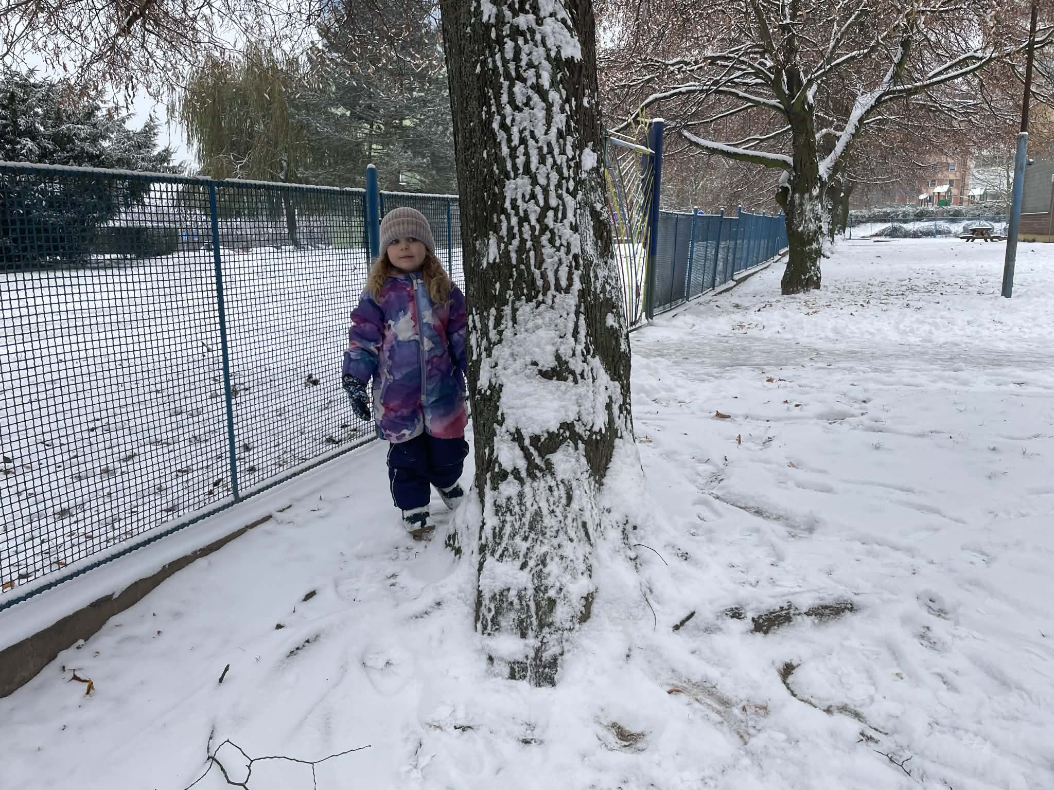 393c2f0f-fb5a-41c1-aeed-d28101b816d0